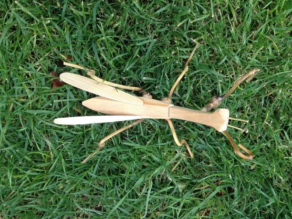 Bamboo mantis украшения игрушки бамбуковые поделки (A231)|craft|craft toyscrafts ornament |