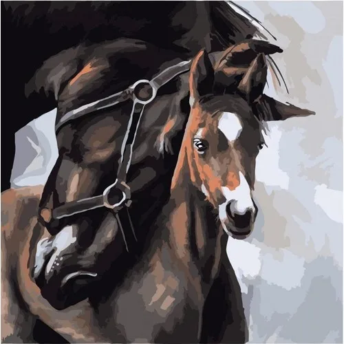 horse Mother's love Europe Home Decoration DIY Canvas Oil Painting Framed Pictures Painting By Numbers Wall Art 40x50cm