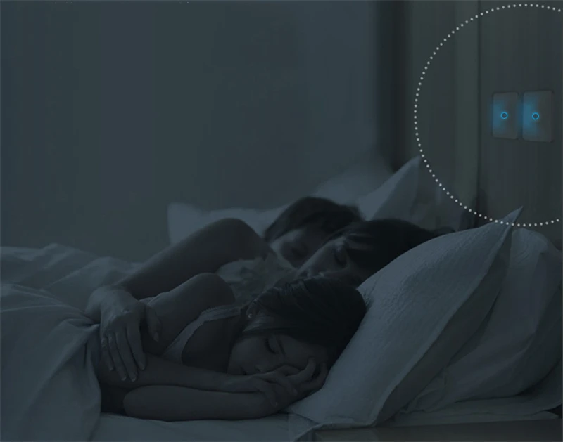smart switch (5)