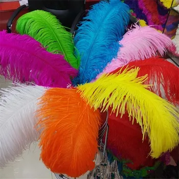 

10 PCS 18-20 Inch 45-50 cm Ostrich Feather Multi Choice Decoration Choice