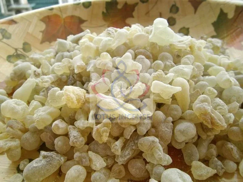 Oman-frankincense-A-5