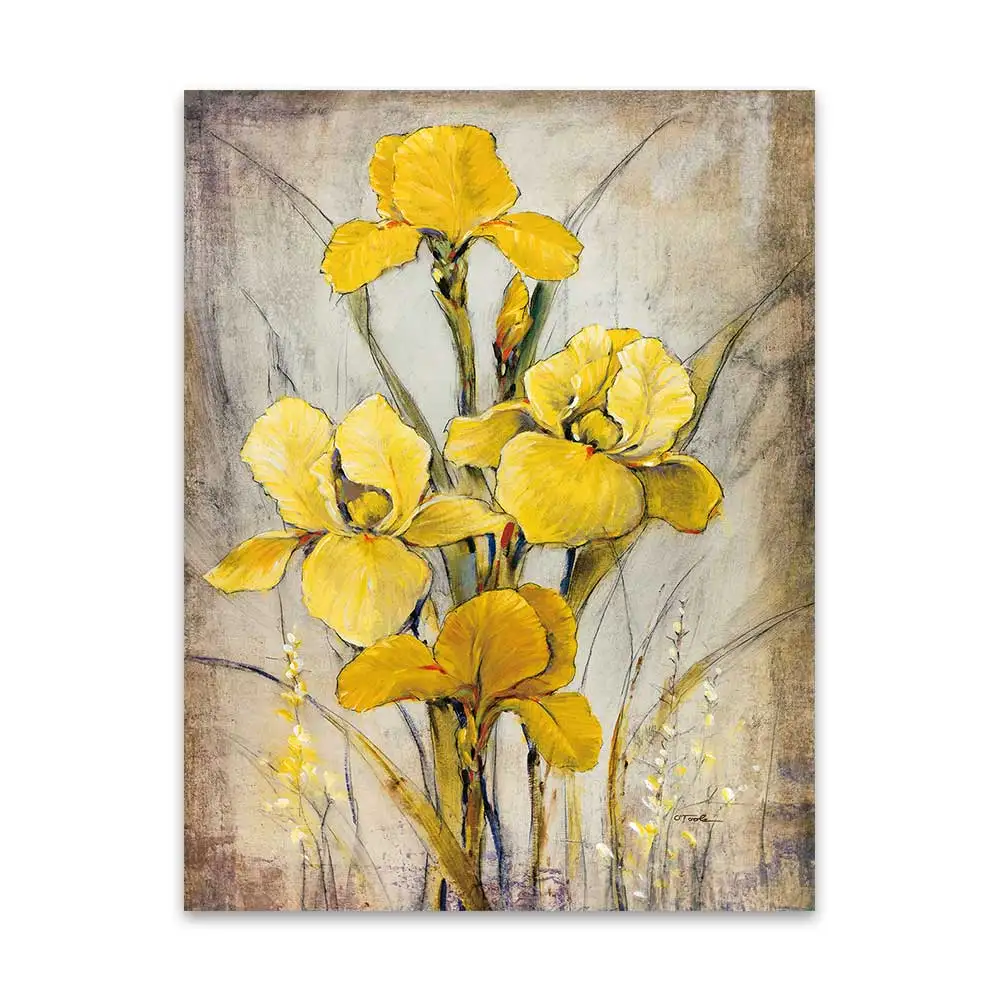 WANGART принты картин на стену, винтажная Печать на холсте, масло орхидеи, картина, настенные картины для гостиной, цветок, без рамы, для дома - Цвет: JY0217