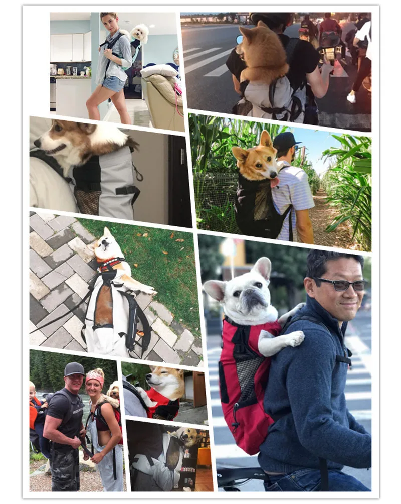 dog backpack (5)