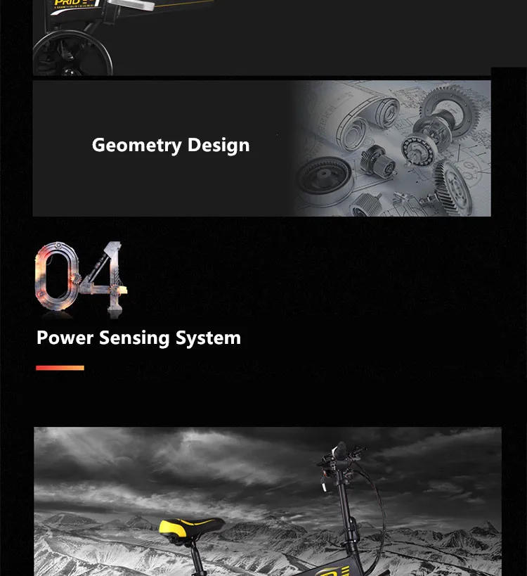 Top New Aluminum Alloy frame 20 inch electric bike SHIMAN0 folding mini ebike 200W lithium battery Hydraulic Brake electric bicycle 5