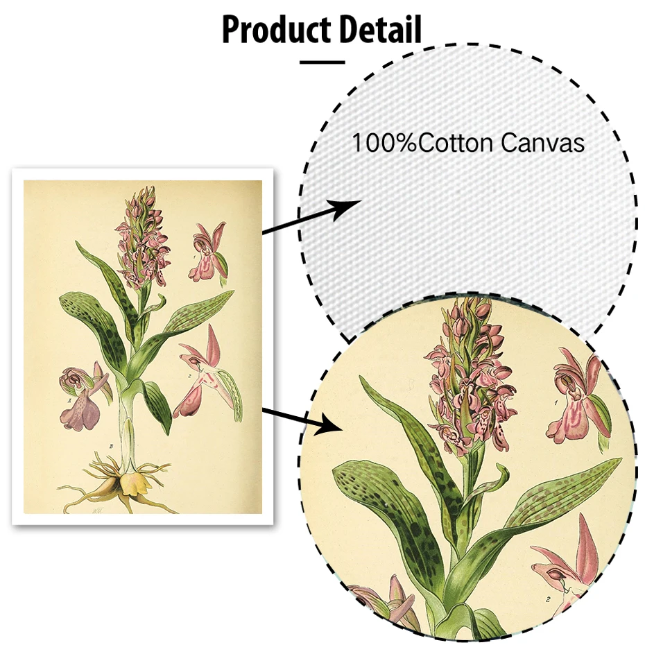 Винтажные растительные иллюстрации цветочный плакат и печать холст живопись Декор для гостиной Модульная картина Настенная карта растение specime