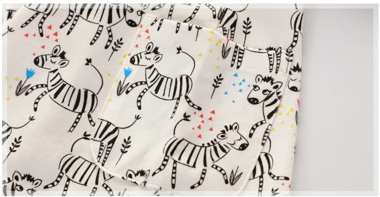 zebra 15