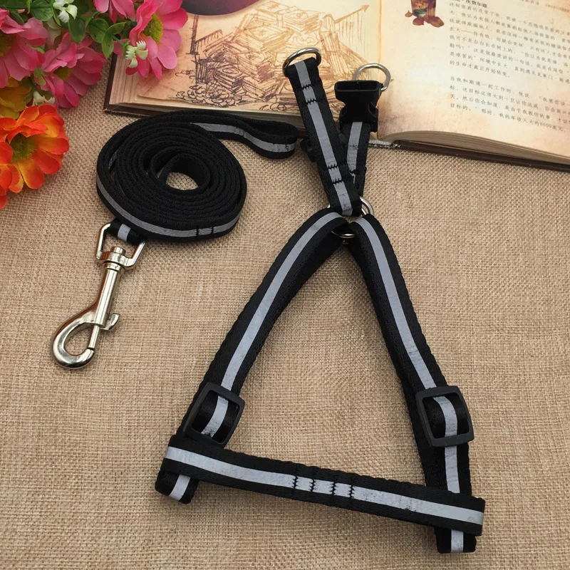 Dogs collars accessories reflective leash Labrador 8 Dogs collars accessories reflective leash Labrador 8