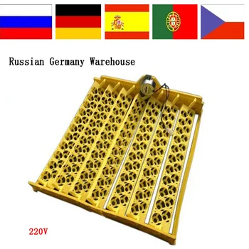 

Top Sale 154 Quails Eggs Turn Tray New Incubator Automatic Incubator Pigeons And Other Birds egg tray With 220V Motor
