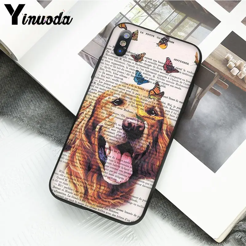 Book newspaper background Cute French Bulldog