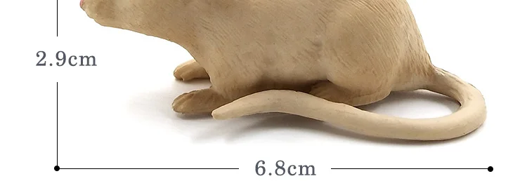-2-DW-M-LP433-546_06