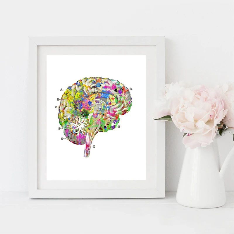 Vintage Anatomy Gift Prints Wall Decor