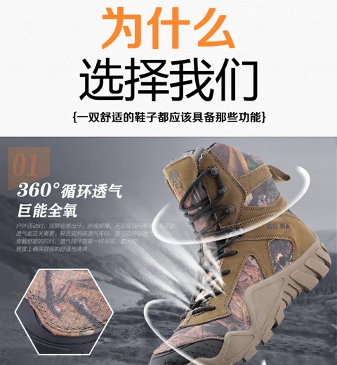 LY3001_03