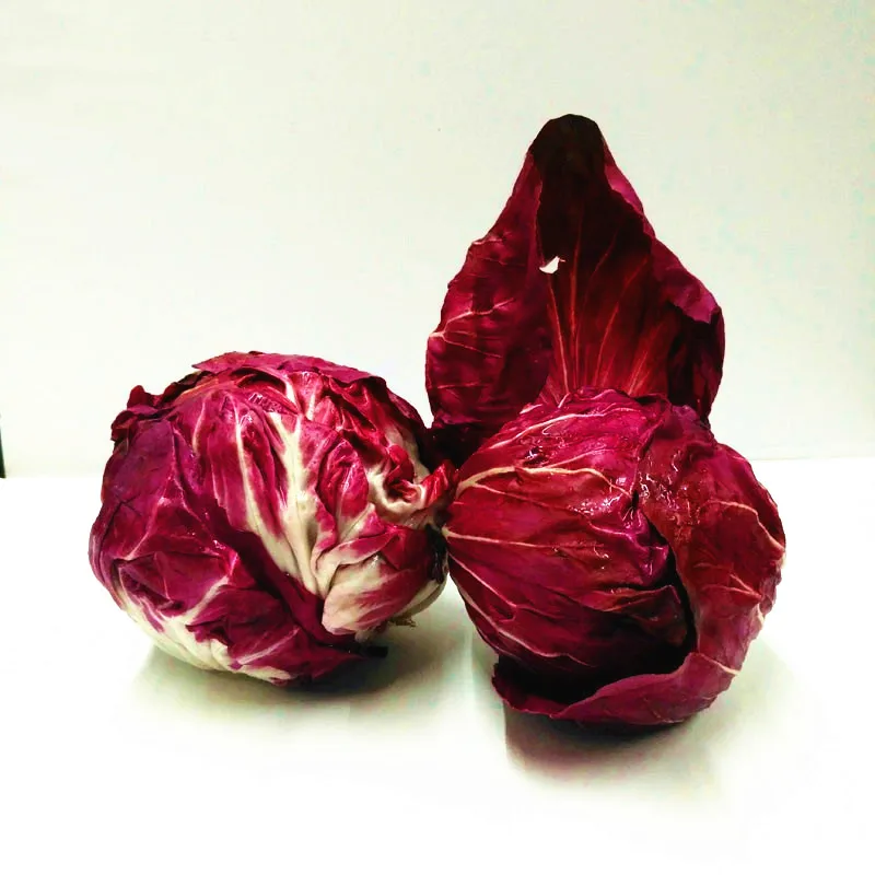 

100Pcs/Bag cabbage red cabbage vegetable bonsai plant family vegetable garden plant healthy vegetable garden