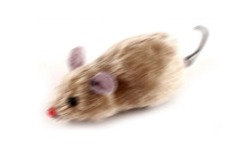 4657402621_1665238694