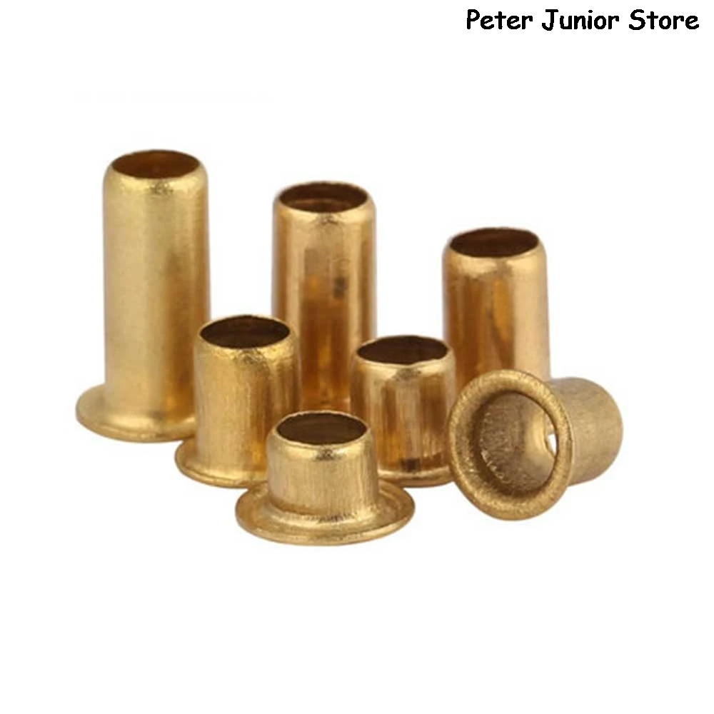 

100Pcs Copper Hollow Rivet Nuts M0.9 M1.3 M1.5 M1.7 M2 M2.3 M2.5 M3 GB876 Tubular Rivets Double-sided Circuit Board Nails GMN