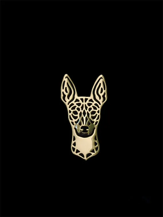 Rat Terrier 1