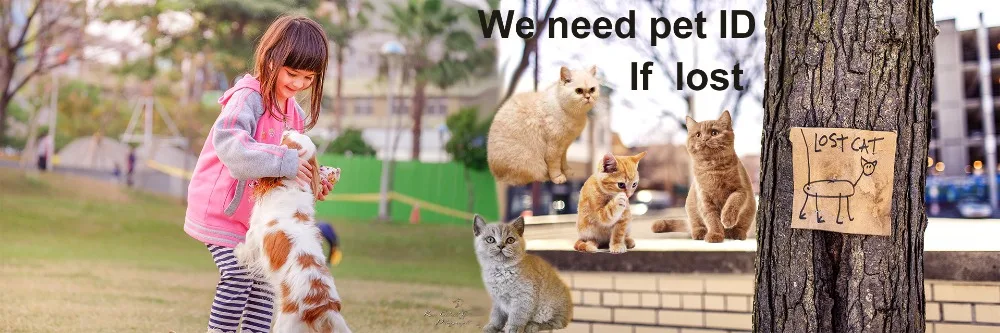 Tag Vidro Animal ISO11784 85 ICAR certificação para os peixes, mouse, pomba