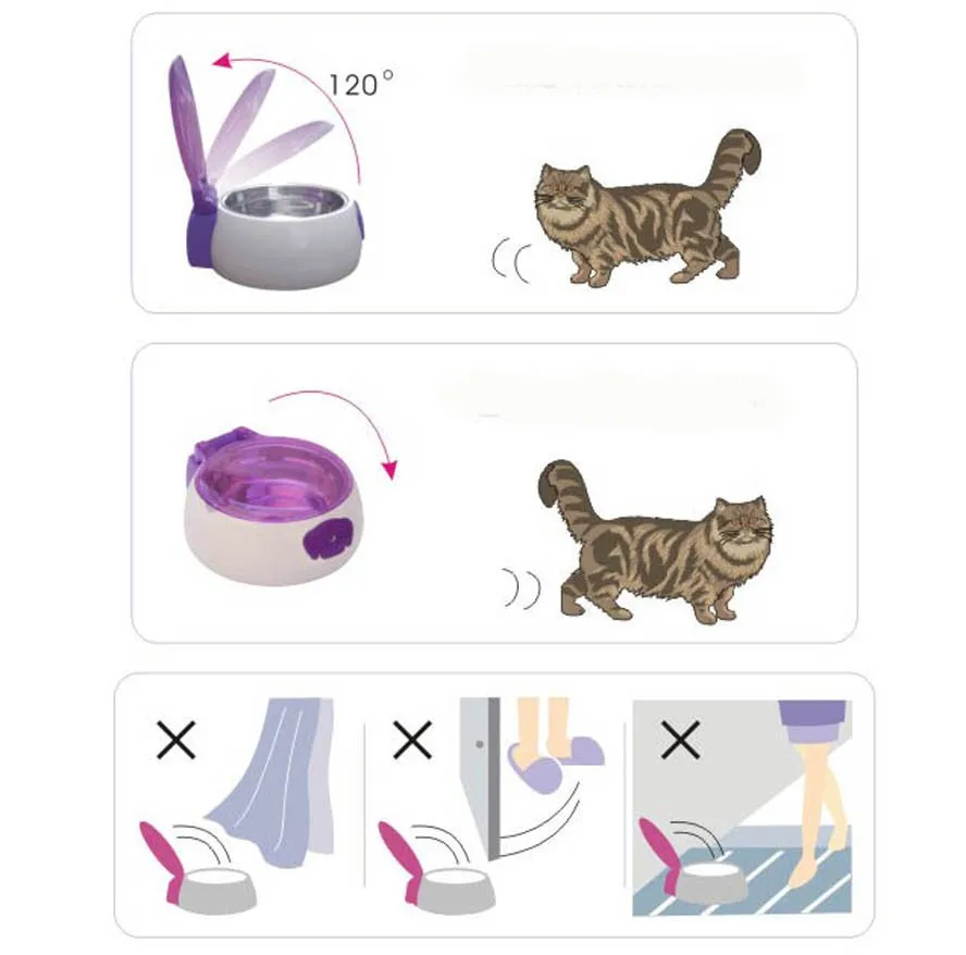 cat bowl display 3