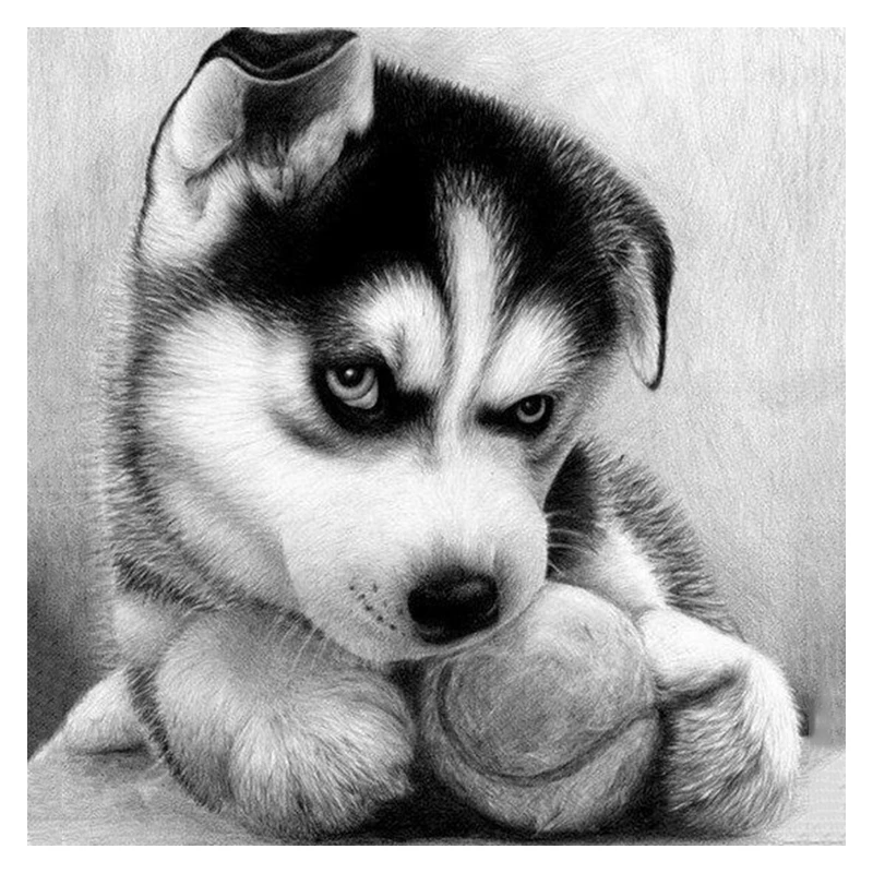 Full drill 5D DIY diamond embroidery Husky dog square painting Cross Stitch Rhinestone mosaic home decoration gift | Дом и сад