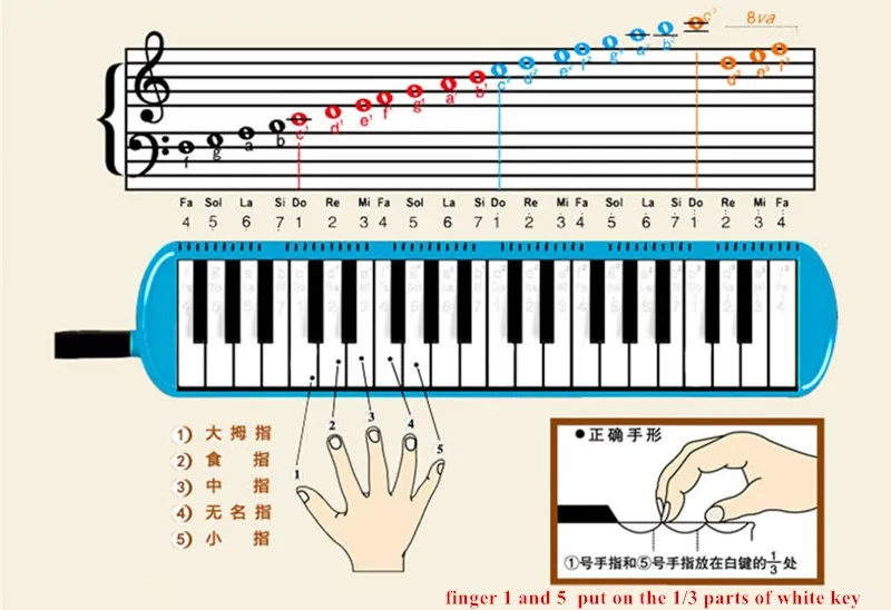37 ключ Мелодические гармоники детских музыкальных инструментов escaleta Мелодические гармоники em gaita Детские музыкальные орф-инструменты