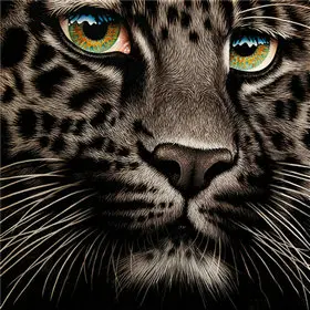 001 (22)_