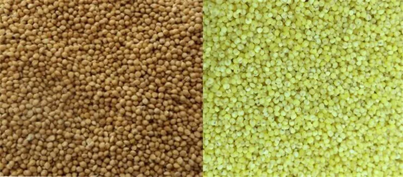 rice huller02
