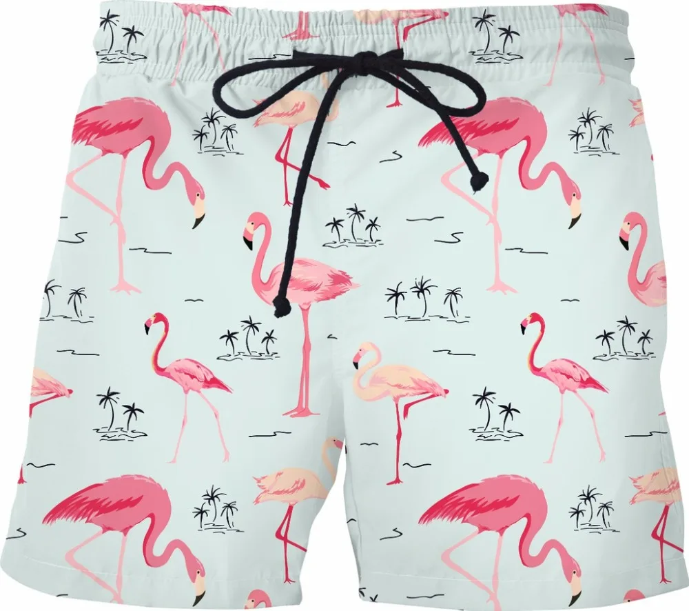 Flamingo Island Swim Trunks
