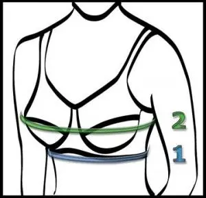bra size measurement