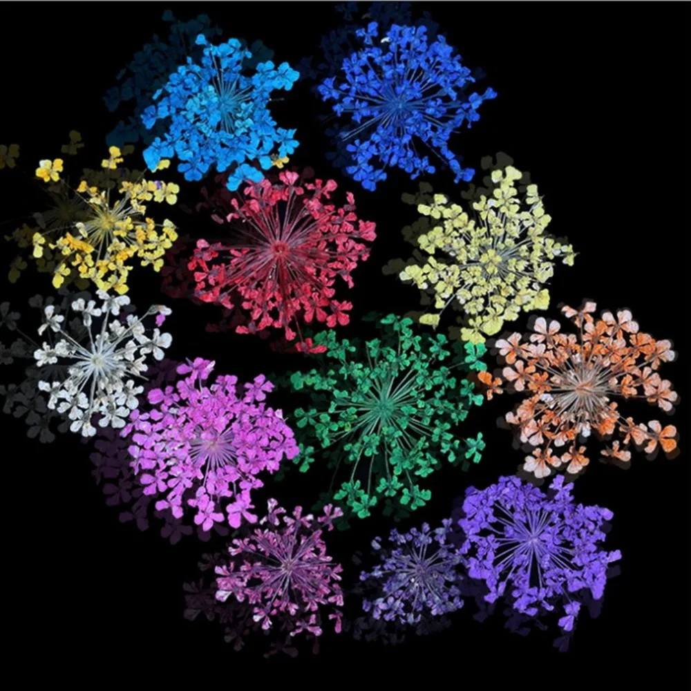ZE720900-C-3-1