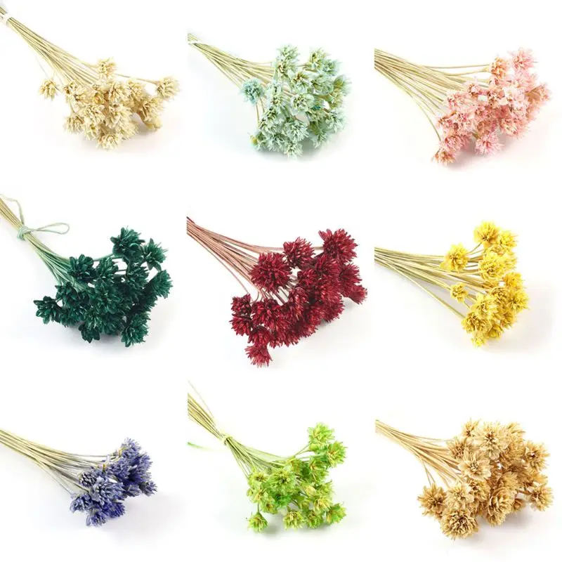 

12 Pcs Epoxy Filler Dry Flowers Embossed Eternal Flower Jewelry Making DIY Handmade Filling Material Accessories
