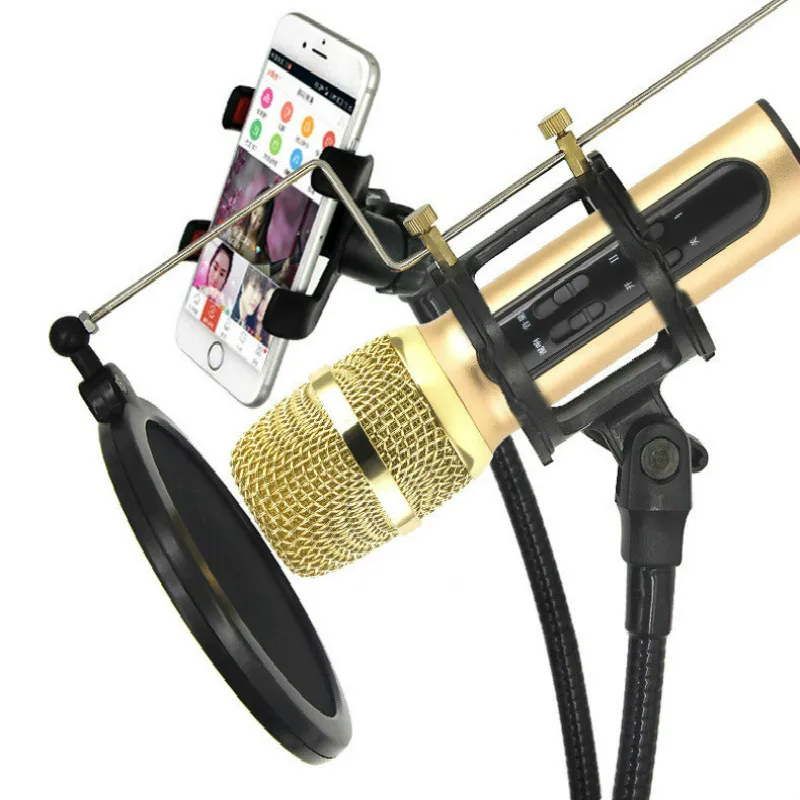 Handheld Microphone Phone K Song Condenser Microphone Sing It Klive