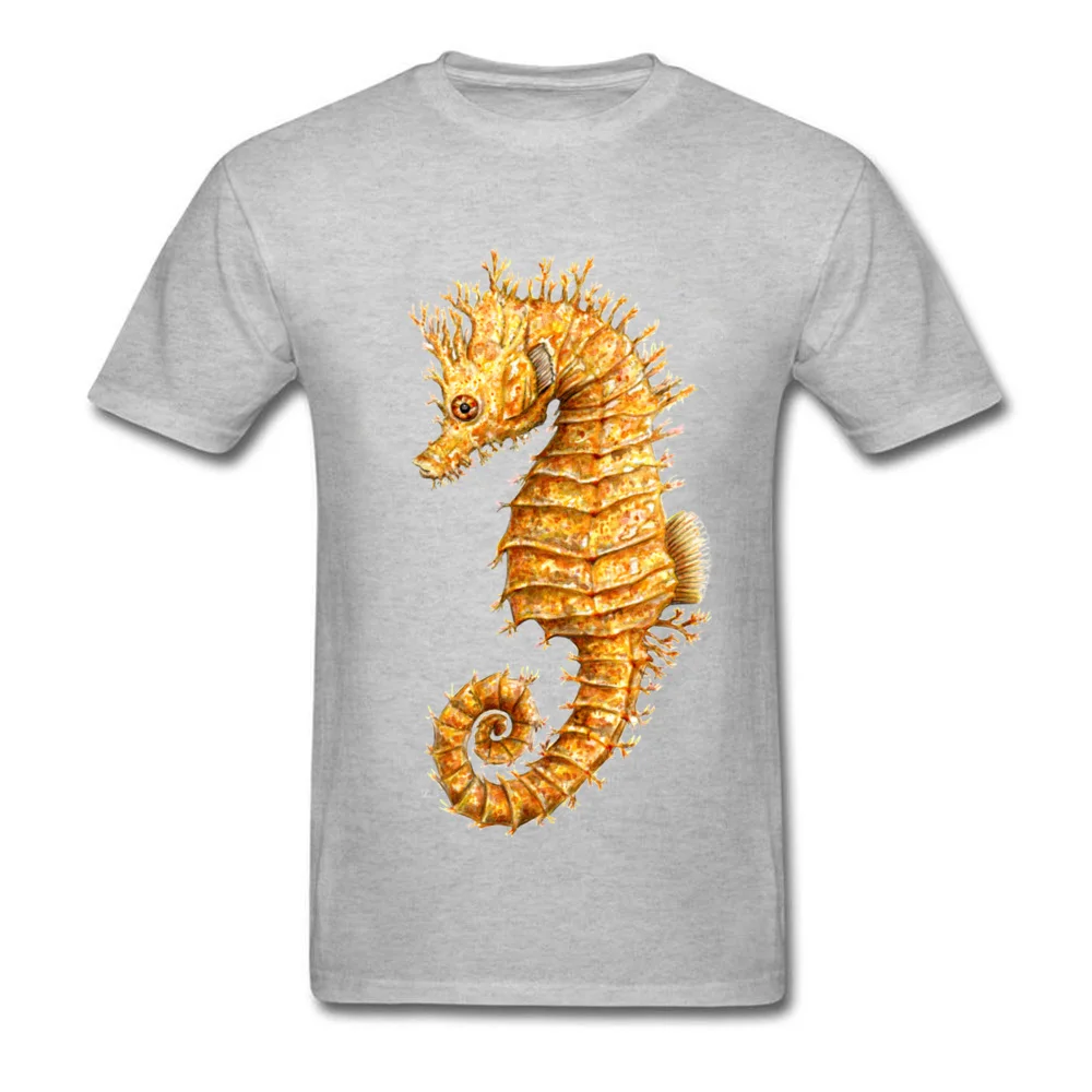 Horse of the seas Common seahorse_grey