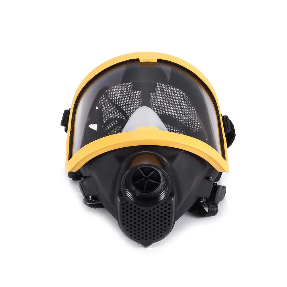 

Electric Supplied Air Fed Full Face Gas Mask Constant Flow Respirator System Device TU-shop