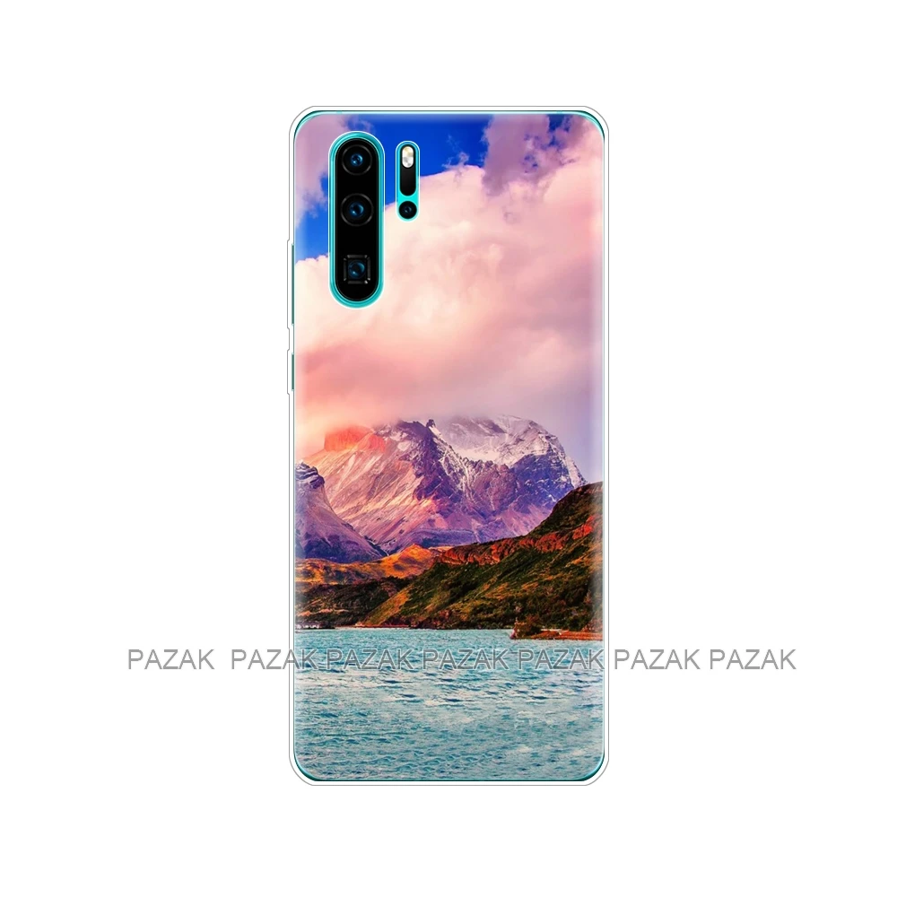 Чехол-Бампер для Huawei P30 Pro, мягкий силиконовый чехол для телефона из ТПУ, задняя крышка для Huawei P30 Pro VOG-L29 ELE-L29 P 30 Lite, чехол с принтом - Цвет: 61374