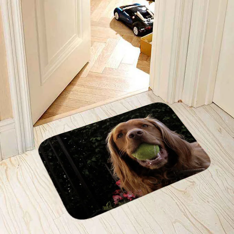 Modern home decorative door mat popular dogs pug/border collie/bull terrier/French bulldog photo print 40x60cm floor mat carpet - Цвет: MI 7