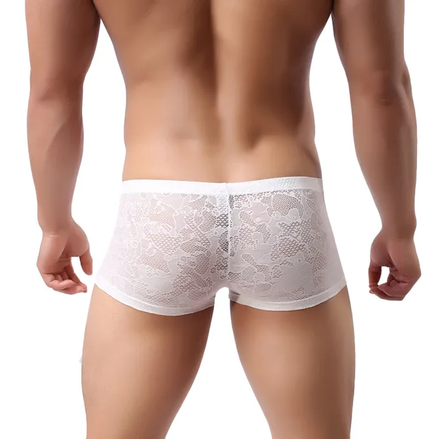 2017 New Fashion Mens Sexy Translucent Boxer Briefs Intimates Soft Lace Floral Ventilate Exotic Boxer Sexy Shorts Underpants -