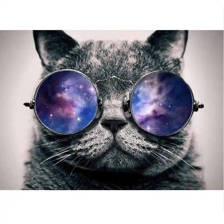 

Cat Painting By Numbers,Decoration Oil Painting For Living Room,Drawing By Numbers Glasses Cat