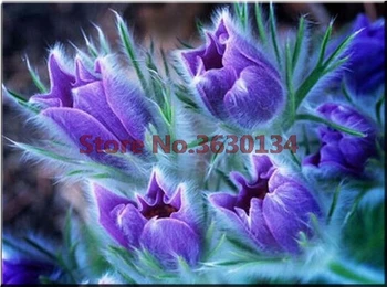 

5D DIY Full Square/Round Drill Diamond Painting Blue flower 3D Embroidery Cross Stitch Diamond Mosaic Home Decor