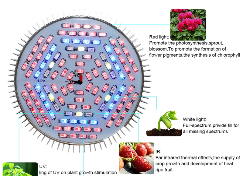 HTB18nFJXzDuK1RjSszdq6xGLpXai