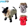 Pawstrip-vêtements pour petits chiens | Vêtements chauds pour chiens d'hiver, veste pour chiots, tenues pour Chihuahua Yorkie chien, vêtements d'hiver pour animaux de compagnie ► Photo 1/6