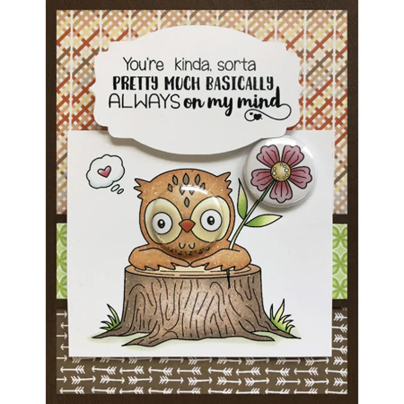 

AZSG Big-eyed owl Clear Stamps/Silicone Transparent Seals for DIY scrapbooking Card Making
