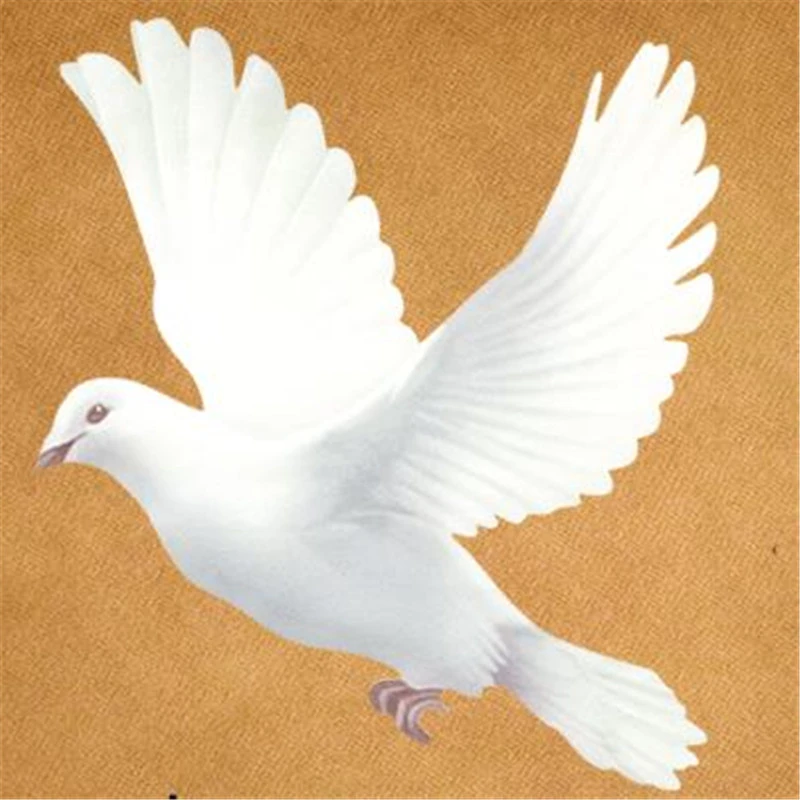T Shirt Women Patch 17cm Peace Dove Iron On Patches For Clothing Transfer Printing Clothes For Girls Diy Street Icon Stickers Patches Aliexpress