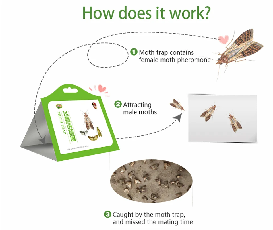 3 шт., тканевая ловушка для еды, моли, феромон, клеевая паста, липкая ловушка для клея, вредитель, отвергающий мух, насекомые, семейная фабрика, ресторанное использование