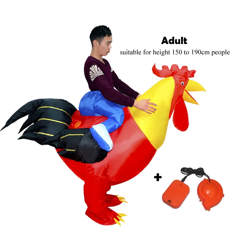adult cock