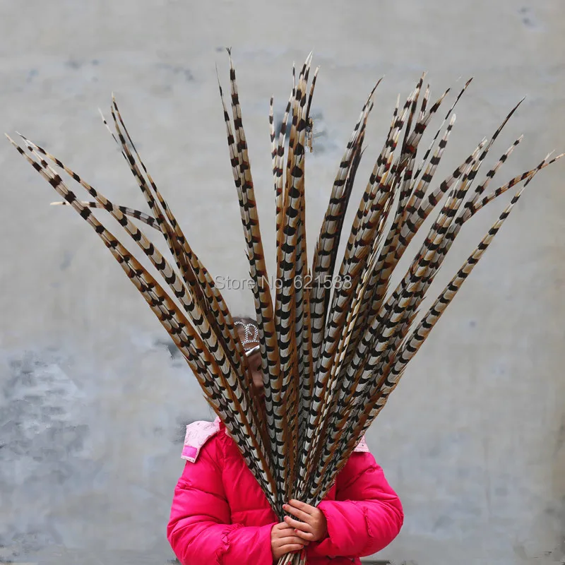 10pcslot120130CMlongExtraLongFeathersNaturalReevesVenery