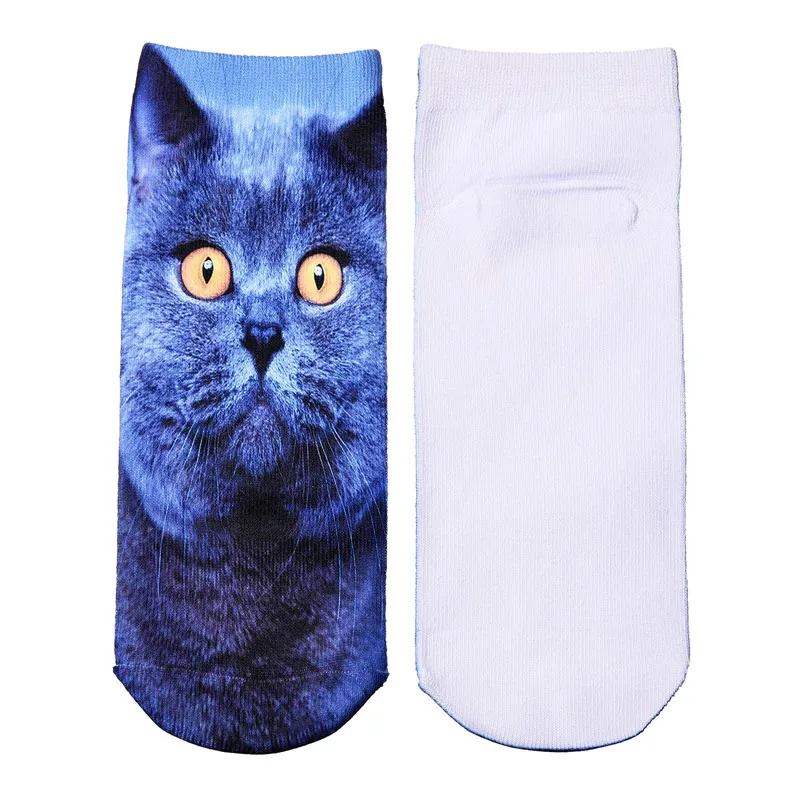 HTB1BQpyOXXXXXahaXXXq6xXFXXXk