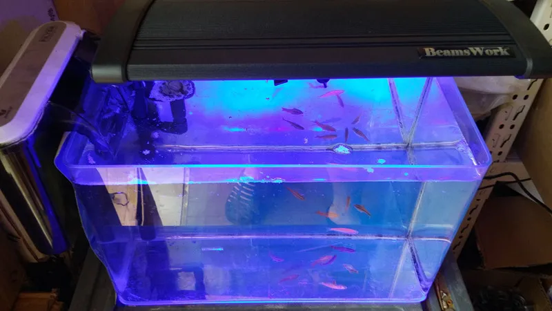 9x3W 27W аквариумный светодиодный зажим на освещение, 6X10000k+ 3X синий светодиод, коралловый риф перо