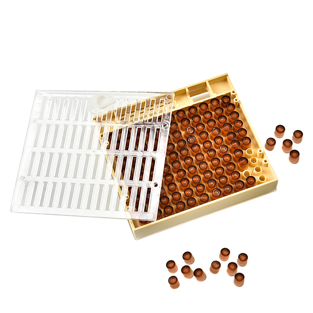 1set bee tools kit queen rearing system complete new cupkit box cells protective cover plastic bees equipment cages supplies