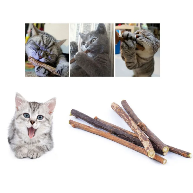 

10pcs Pure Natural Catnip Cat Pet Molar Toothpaste Toothpick Cleaning Teeth Sticks Silvervine Cat Pet Supplies
