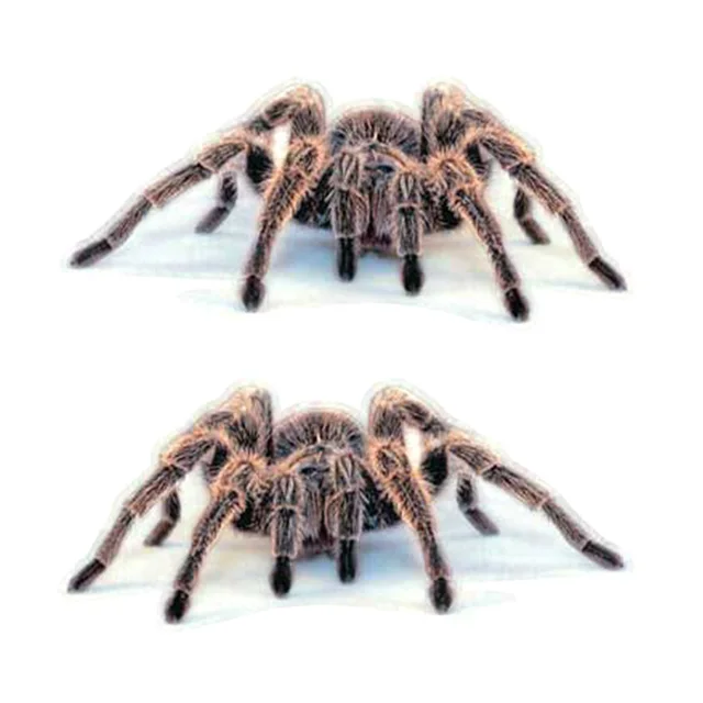 3D PVC Car Sticker Lizard Scorpion Spider Car Body Window Sticker Decal Car Styling 2 Red Spider